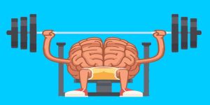Una Palestra per la Mente 1,2 e 3: programma di stimolazione cognitiva per l'invecchiamento cerebrale e le demenze