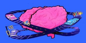 La valutazione cognitiva della capacità di guida nelle persone con demenza