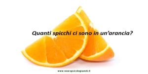 Il test di Stime Cognitive (Cognitive Estimation Task - CET): strumento di valutazione delle funzioni esecutive (FE)