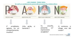 La valutazione del dolore nella demenza in fase avanzata: Pain Assessment in Advanced Dementia (PAINAD)