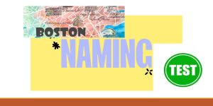 Boston Naming Test-15  (BNT-15) tarato per la popolazione italiana adulta 
