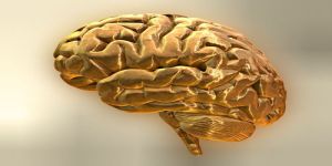 10 regole d'oro per il cervello