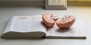 Cosa non può mancare nella libreria di un neuropsicologo: libri utili