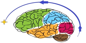 Alzheimer's Disease Assessment Scale (ADAS): scala specifica per disturbi cognitivi e non della demenza 