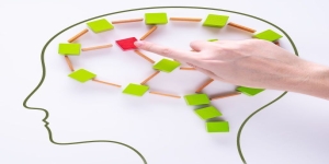 Il DIGIT SPAN e IL TEST DI CORSI: misura dello span diretto e inverso della memoria a breve termine